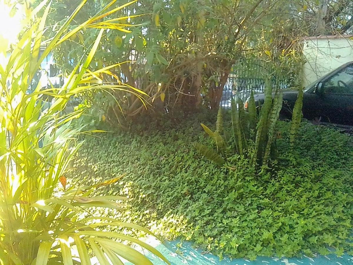 Morada Bemtevi Guest House São José dos Campos 外观 照片